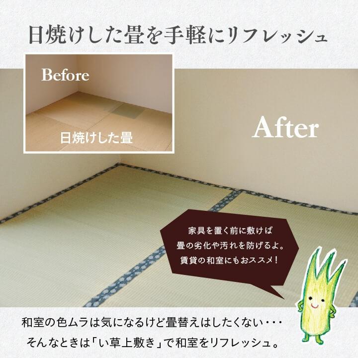 イケヒコ 上敷き ござ 8畳 まごころ 江戸間 8畳 352×352cm 畳の上に