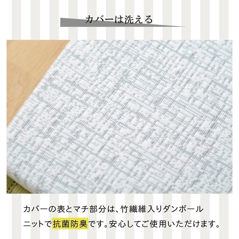 イケヒコ 傾斜マットレス シングル ファラオ 97×195cm 高反発 逆流性