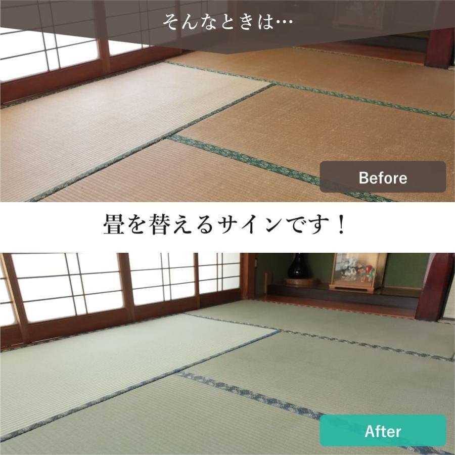 畳 新調 6畳セットい草 江戸間 そよかぜ 国産 88cm×176cm 特等クラス