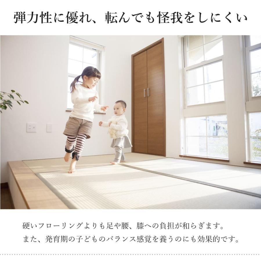 畳 新調 6畳セットい草 江戸間 そよかぜ 国産 88cm×176cm 特等クラス