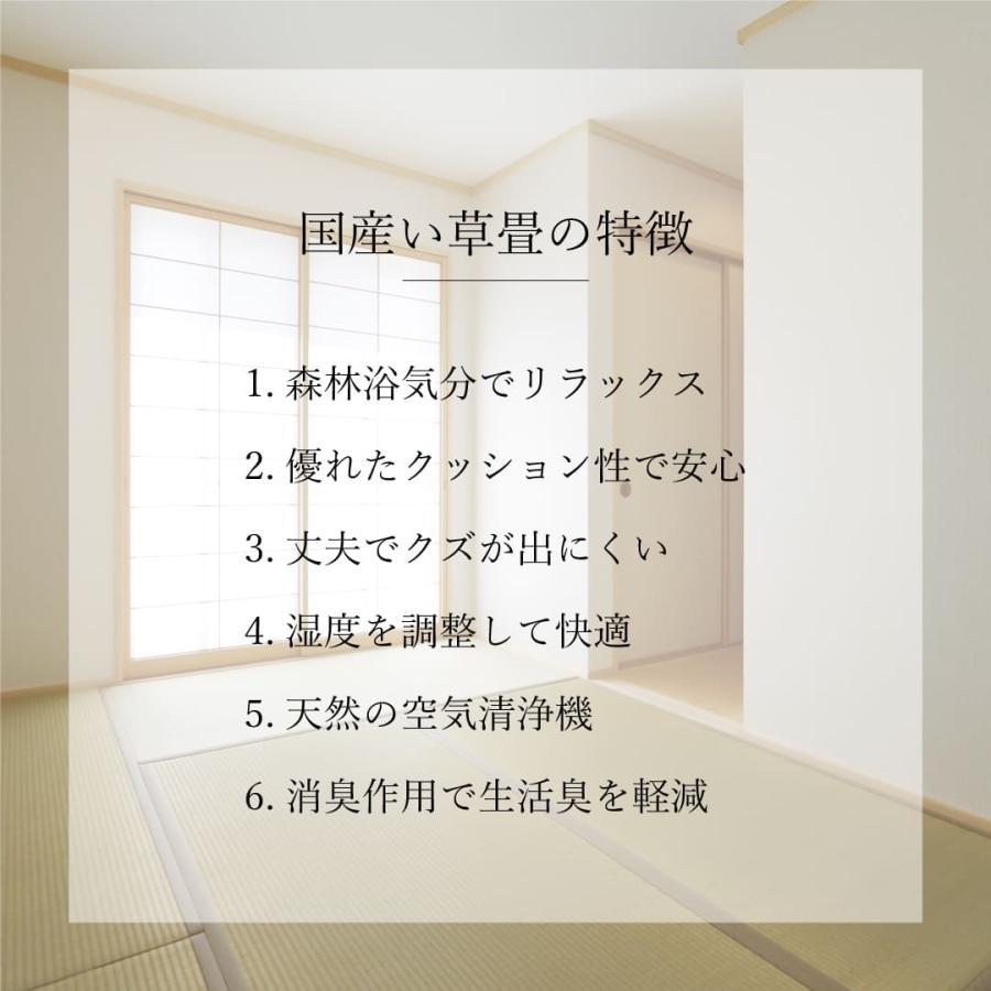 P5倍 畳 新調 6畳セットい草 本間 そよかぜ 国産 97cm×194cm 特等クラス いぐさ イグサ 取り替え 新品 交換 畳替え 和室 ささくれ リフォーム 全国対応｜igusakotatu｜04