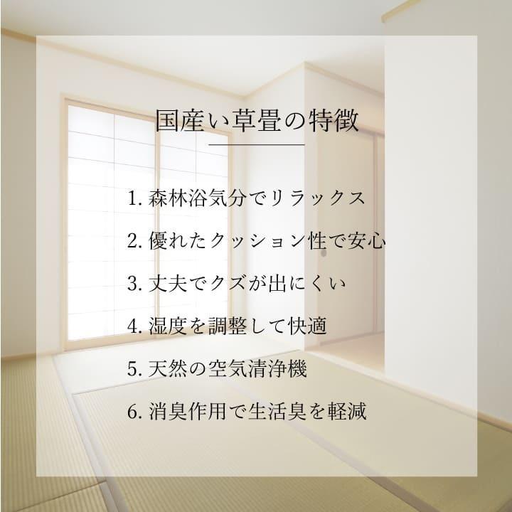 畳 新調 6畳セットい草 江戸間 さざなみ 国産 88cm×176cm 1等クラス
