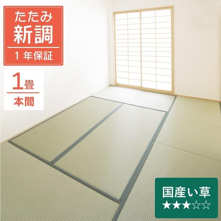 畳 新調 1畳単品 い草 本間 さざなみ 国産 97cm×194cm 1等クラス 