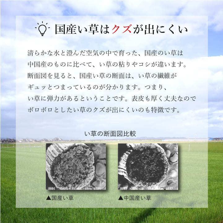 P5倍 畳 新調 8畳セットい草 本間 さざなみ 国産 97cm×194cm 1等クラス いぐさ イグサ 取り替え 新品 交換 畳替え 和室 ささくれ リフォーム 全国対応｜igusakotatu｜07