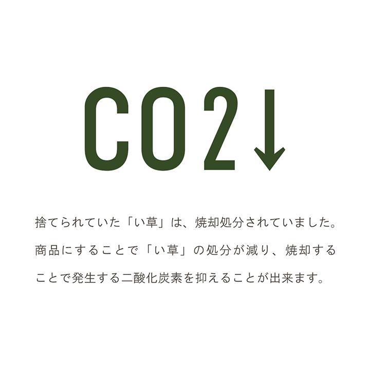 い草枕 みらい 角枕 約35×15cm 母の日 父の日 プレゼント まくら 小さめ 高さ調整可能 無染土 消臭 調湿 マクラ ピロー 安眠 シンプル 省エネ エコ｜igusakotatu｜11