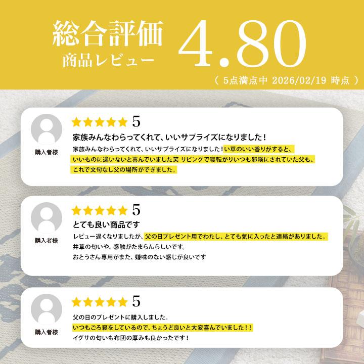イケヒコ 父の日 2026 ギフト プレゼント い草マット 実用的 い草