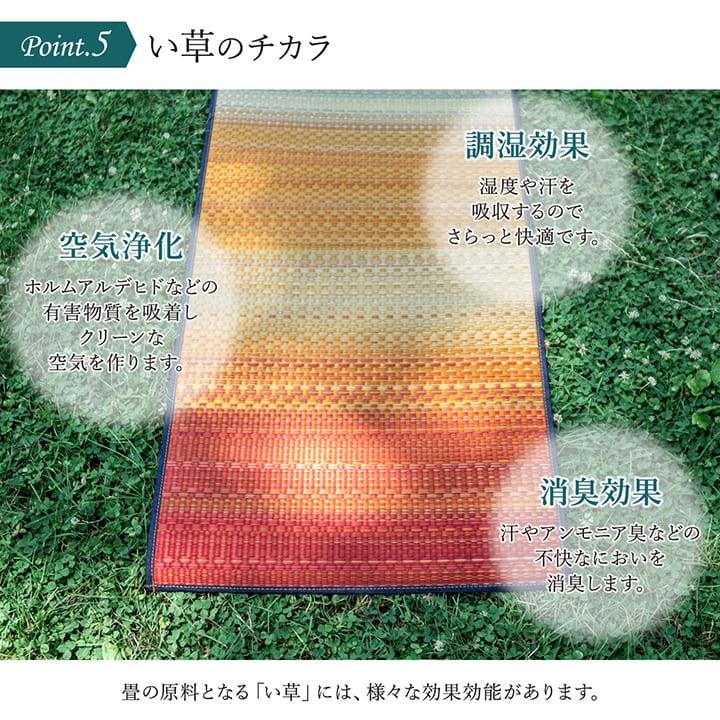 イケヒコ ヨガマット 畳ヨガ 60×180cm 厚さ 6mm 畳ヨガマット ヨガ