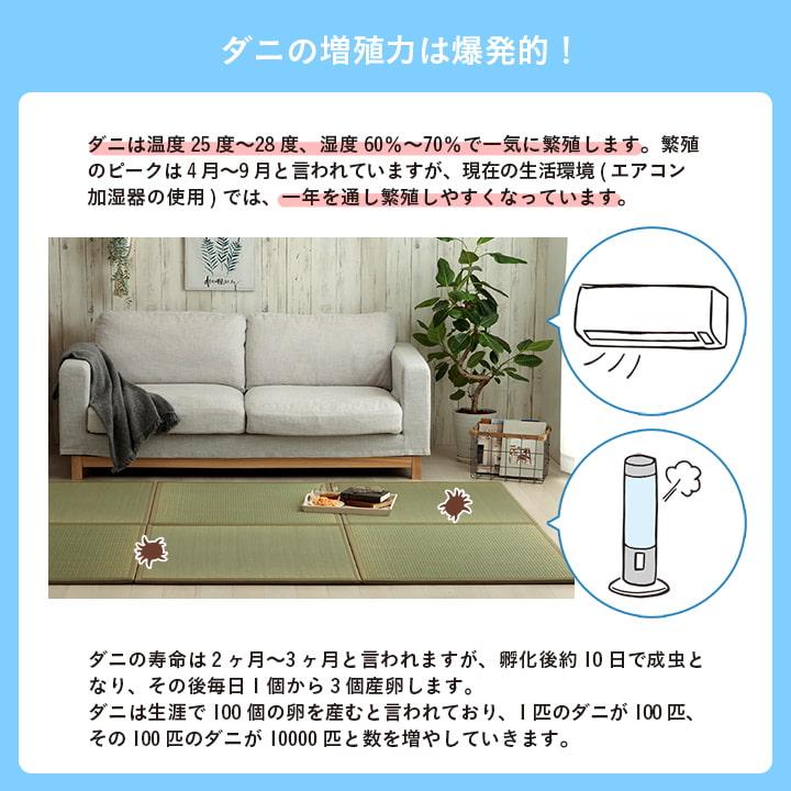 置き畳 国産 い草 滅ダニ 82×82cm 日本製 畳 マット ユニット畳 フローリング 置きたたみ ダニ対策 ござ 簡易畳 厚み18mm 清潔 | イケヒコ | 03