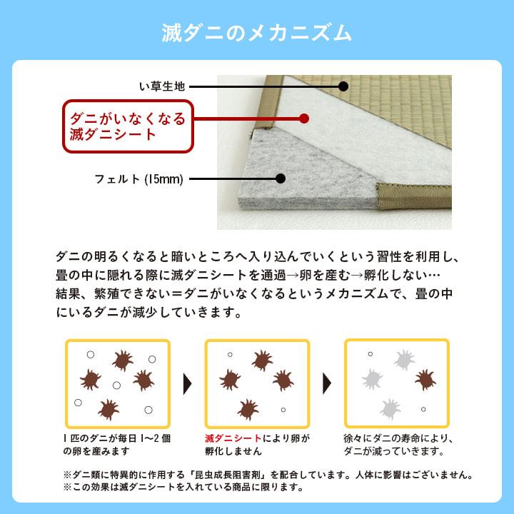 置き畳 国産 い草 滅ダニ 82×82cm 日本製 畳 マット ユニット畳 フローリング 置きたたみ ダニ対策 ござ 簡易畳 厚み18mm 清潔 | イケヒコ | 05