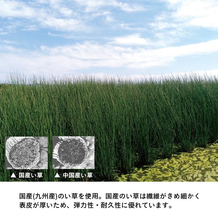 置き畳 国産 い草 滅ダニ 82×82cm 日本製 畳 マット ユニット畳 フローリング 置きたたみ ダニ対策 ござ 簡易畳 厚み18mm 清潔 | イケヒコ | 08
