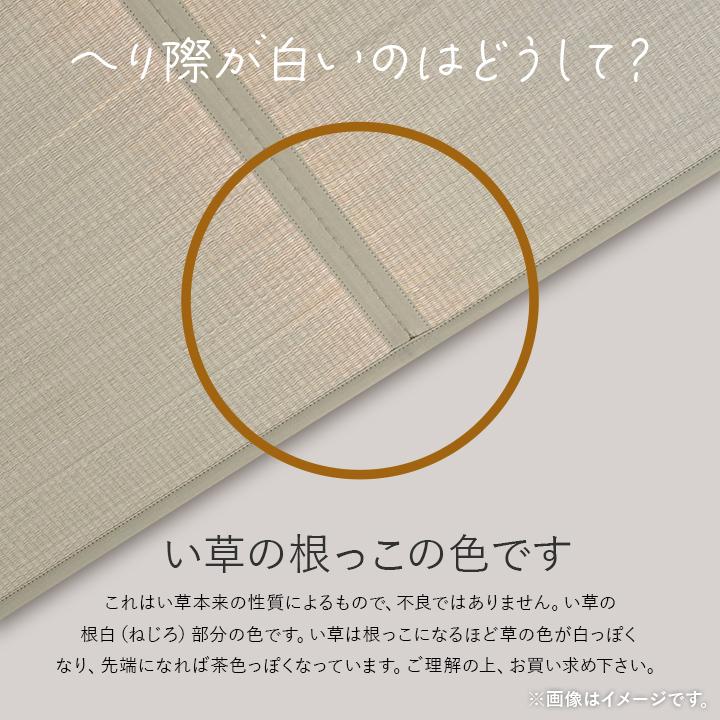 畳 置き畳 国産 ライズ 88×88cm 日本製 撥水 フローリング い草 ユニット畳 畳マット 井草 木製ボード システム畳 置きたたみ タタミ 半畳｜igusakotatu｜11