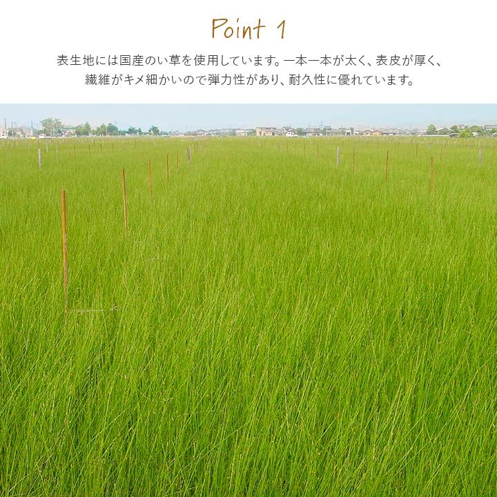 イケヒコ 畳 置き畳 国産 ライズ 88×88cm 日本製 撥水 イケヒコ 畳 置き畳 国産 ライズ 88×88cm 日本製 撥水