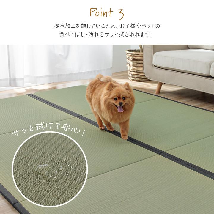 イケヒコ 畳 置き畳 国産 ライズ 88×88cm 日本製 撥水 イケヒコ 畳 置き畳 国産 ライズ 88×88cm 日本製 撥水