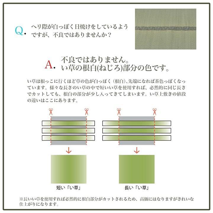 い草カーペット 上敷き 花ござ プレーン 江戸間 6畳 国産 ラグマット おしゃれ い草ラグ イグサ ゴザ 畳の上に敷くもの シンプル オールシーズン｜igusakotatu｜15