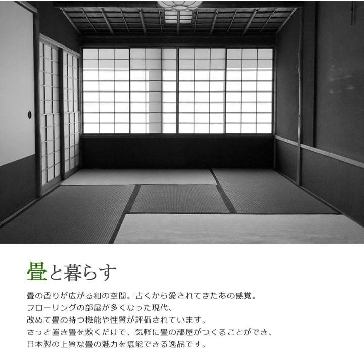 イケヒコ 置き畳 ユニット システム 琉球畳 ニューピア 約70×70cm 4枚