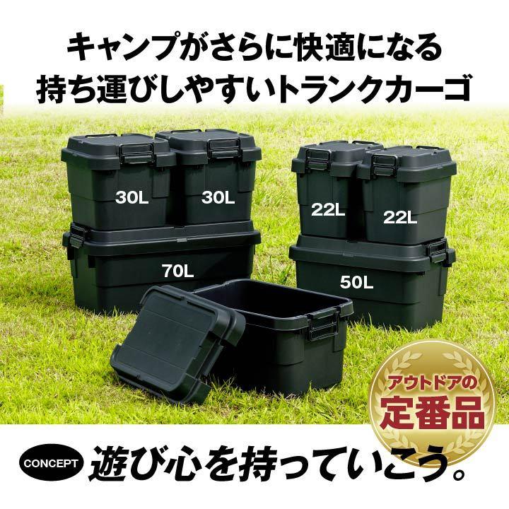 RISU（リス） トランクカーゴ TRUNK CARGO 22L 2個 セット 収納 