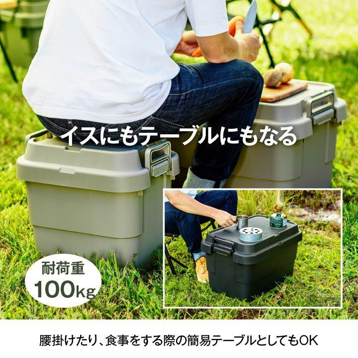【限定・即完売】2個セット　カープ　コンテナBOX 収納ボックス RISU（リス） トランクカーゴ TRUNK CARGO 22L 2個 セット 収納