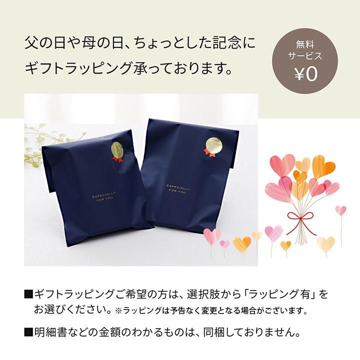 耳かき 匠の技 G-2290 チタン製耳かき ブラック 日本製 母の日 父の日