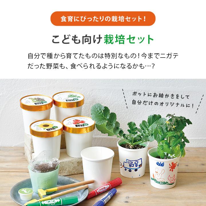 家庭菜園セット、ご予約承ります。 お家で始める野菜栽培セット
