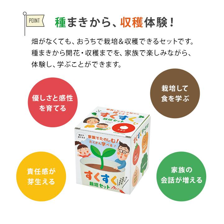 すくすく栽培セットBOX ギフト 日本製 野菜 キット 土セット 家庭菜園