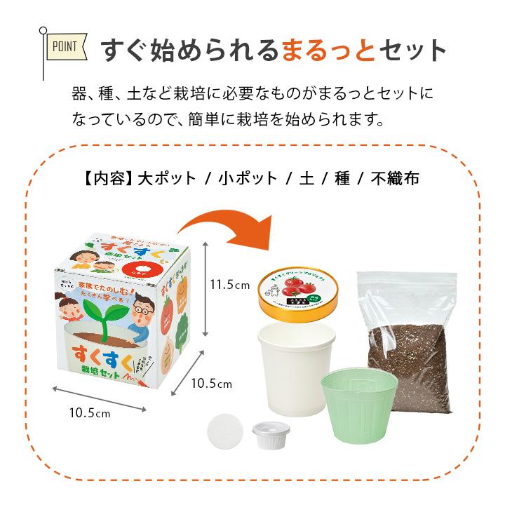 家庭保育園　セット すくすく栽培セットBOX ギフト 日本製 野菜 キット 土セット 家庭菜園
