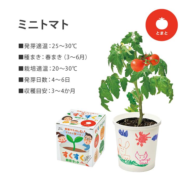 すくすく栽培セットBOX ギフト 日本製 野菜 キット 土セット 家庭菜園 ガーデニング 子供 キッズ 食育 自由研究 SEI 父の日 母の日｜igusakotatu｜10