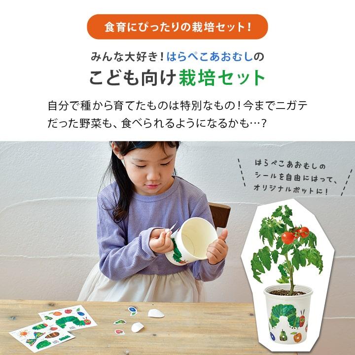 栽培キット ギフト プレゼント 栽培セット はらぺこあおむし 日本製