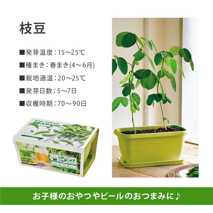 栽培キット 栽培セット 枝豆 日本製 野菜 花 キット 土セット 母の日