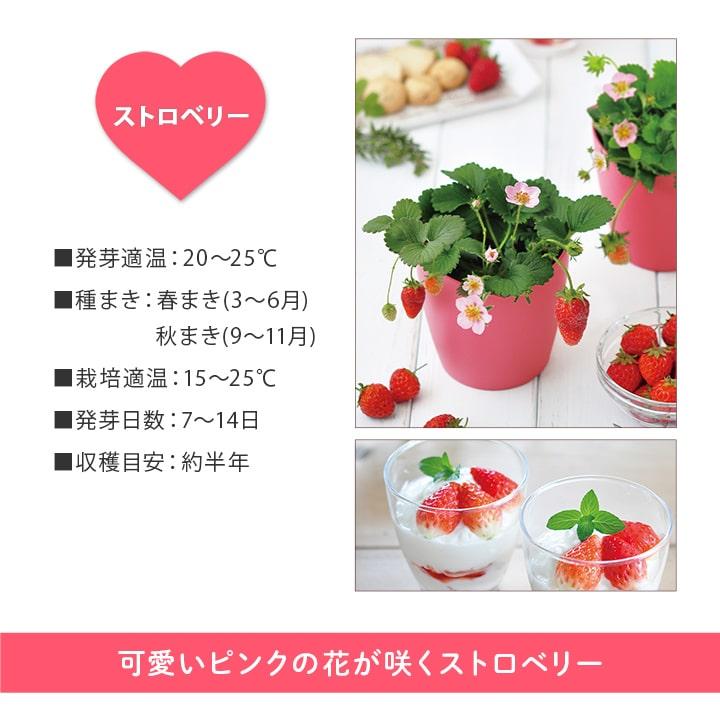 栽培キット ギフト プレゼント 栽培セット 日本製 野菜 花