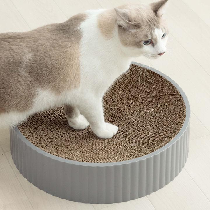 猫用 爪とぎ ダンボール コンパス爪とぎ 段ボール 猫 ネコ 爪