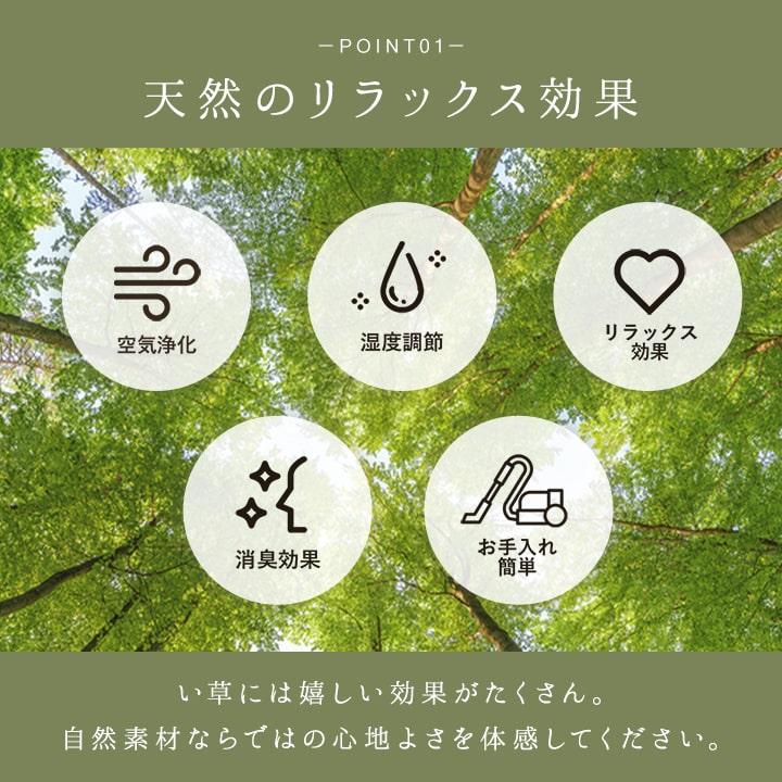 座椅子 い草 ローソファ コタツ用 1人掛け 坐楽 座イス 1人用 ローソファー 畳 パーソナル ソファ リラックス リビング 軽量 折り畳み_6
