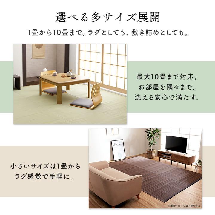イケヒコ ppラグ カーペット ござ 洗える 本間 1畳 95.5×191cm