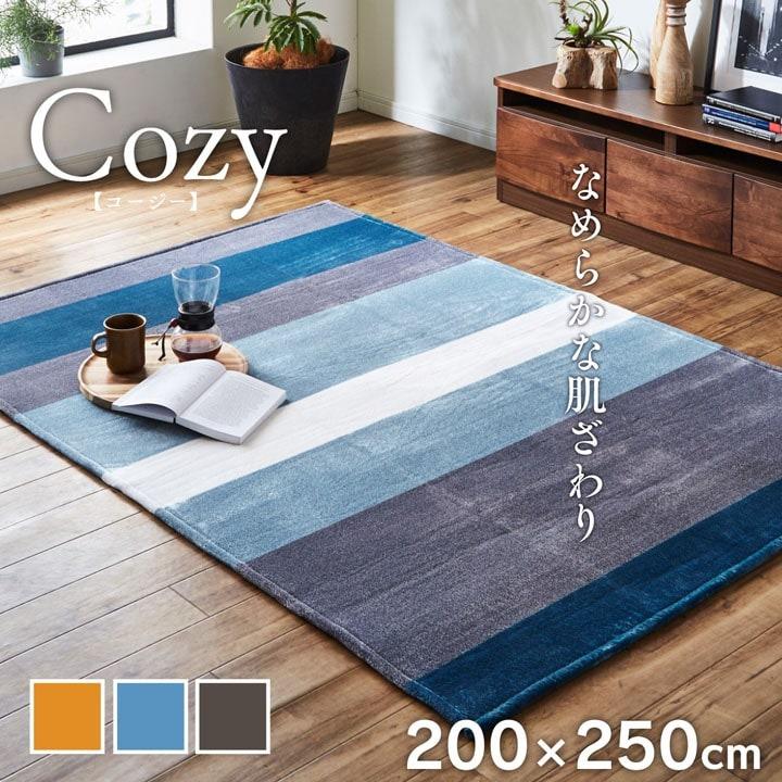 ラグ 洗える カーペット ラグマット 3畳 200×250cm おしゃれ ホット