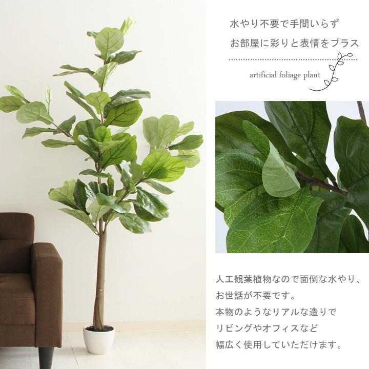 観葉植物 フェイク 本物そっくり フェイクグリーン フィカス カシワバゴム FBC 大型 造花 インテリア ×