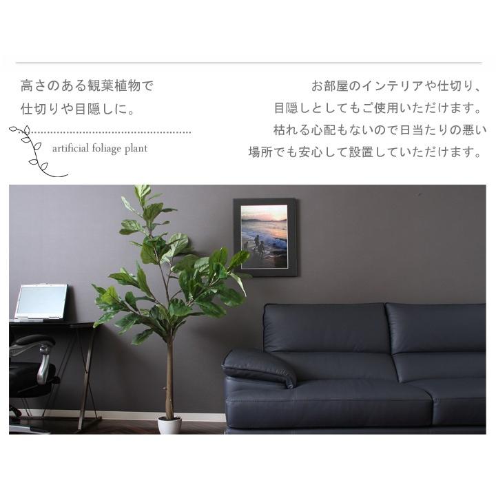 観葉植物 フェイク 本物そっくり フェイクグリーン フィカス カシワバゴム FBC 大型 造花 インテリア ×