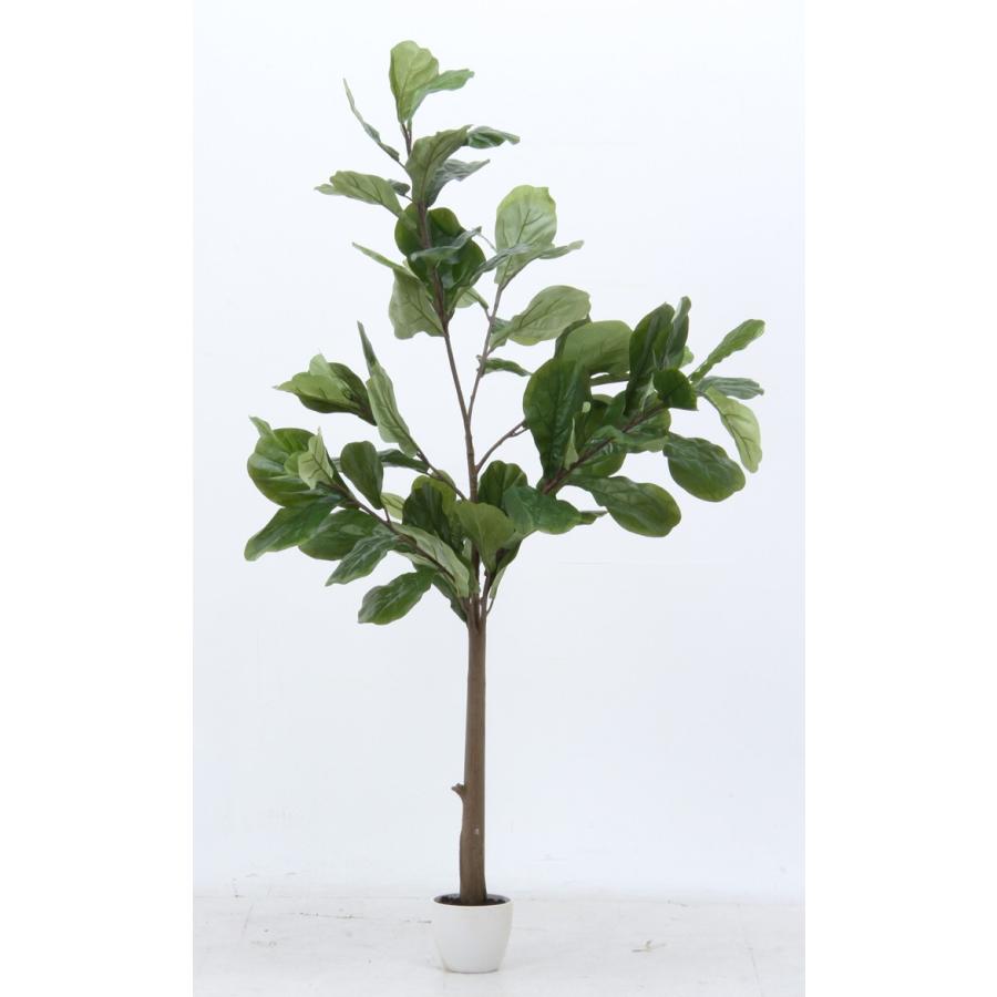 観葉植物 フェイク 本物そっくり フェイクグリーン フィカス カシワバゴム FBC 大型 造花 インテリア ×