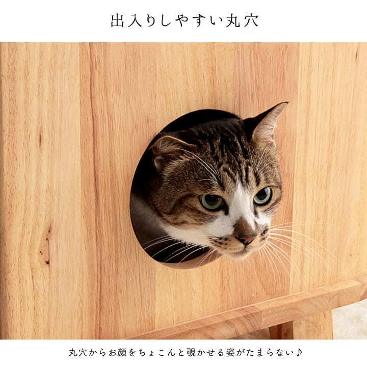 猫猫 カード検索 ｜ Z/X - Zillions of enemy X - ゼクス公式サイト