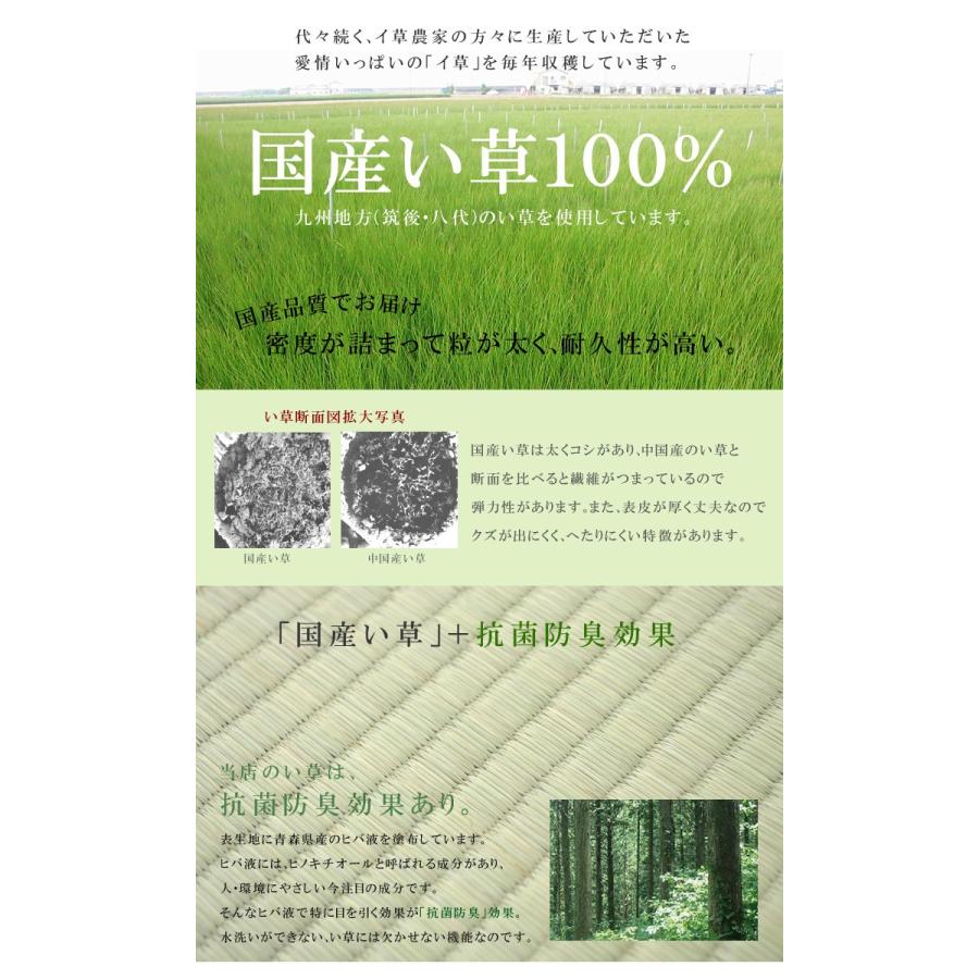 置き畳 い草 国産 軽量 輝 かがやき  82×164cm イ草 日本製 長方形 フローリング リビング ユニット 畳 マット たたみ｜igusakotatu｜02