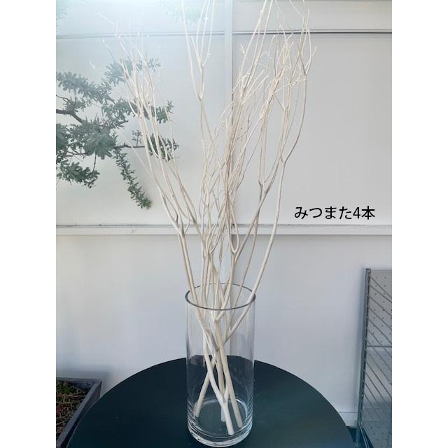 TSUKIGIみつまた 80cm前後 枝物インテリア クリスマスツリー
