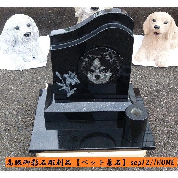 近世義民年表 / 保坂智／編