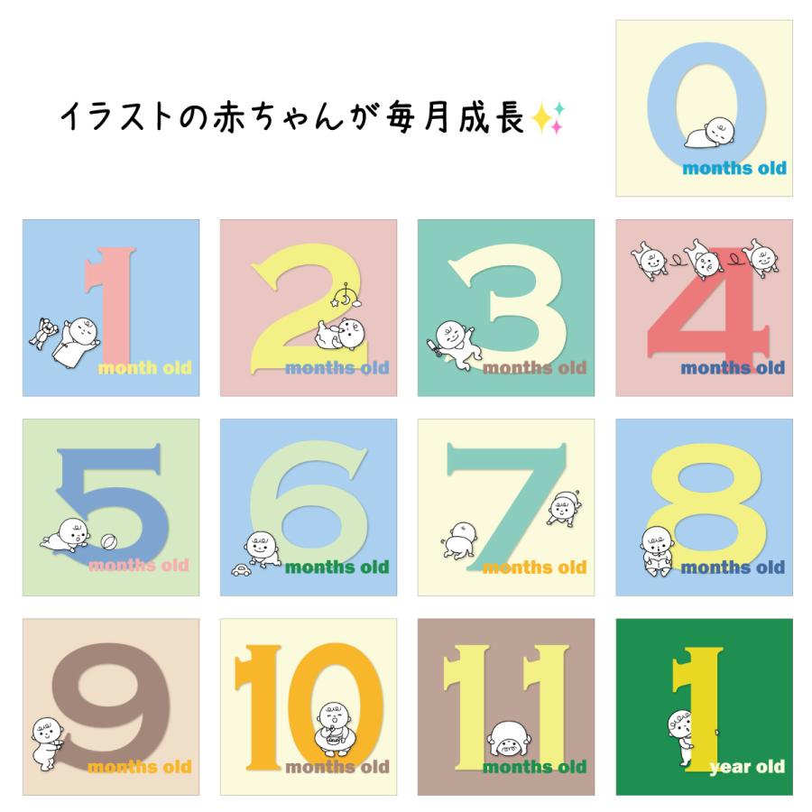 単品 月齢 バースデーカードセット 出産祝い 誕生日 赤ちゃん