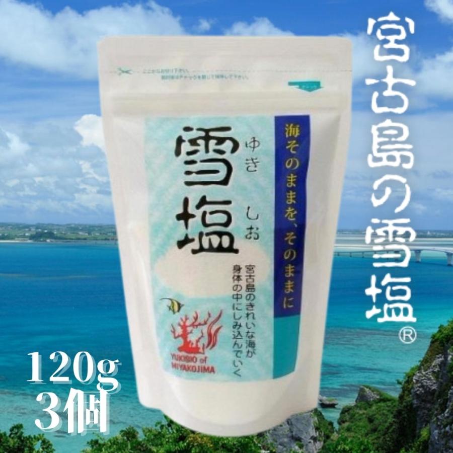 パラダイスプラン 雪塩  120g 3個　宮古島の雪塩 パウダー にがり含有 ジッパー付き（Yahoo!・IIDAYS）