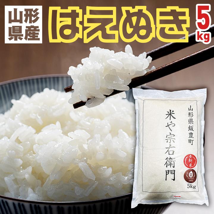 はえぬき 令和6年産・新米【山形県産はえぬき 5kg】精米済 白米