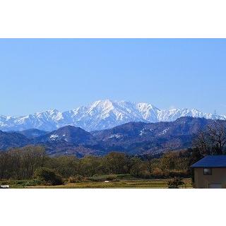 山形県産天然キノコ きのこ 混ざり塩蔵1ｋｇ クリタケ カヌカ なめこ ムキタケ ヒラタケ 全国送料無料　レターパックプラス 代引き不可