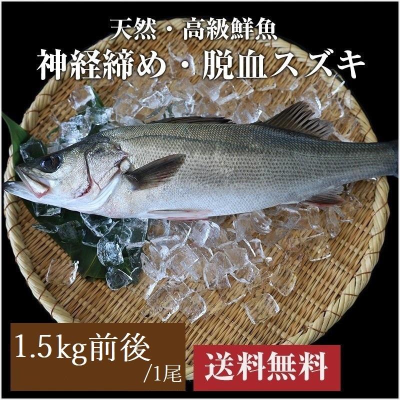 スズキ 1尾 1 5kg前後 神経締め 脱血 Y02 飯塚商店 通販 Yahoo ショッピング