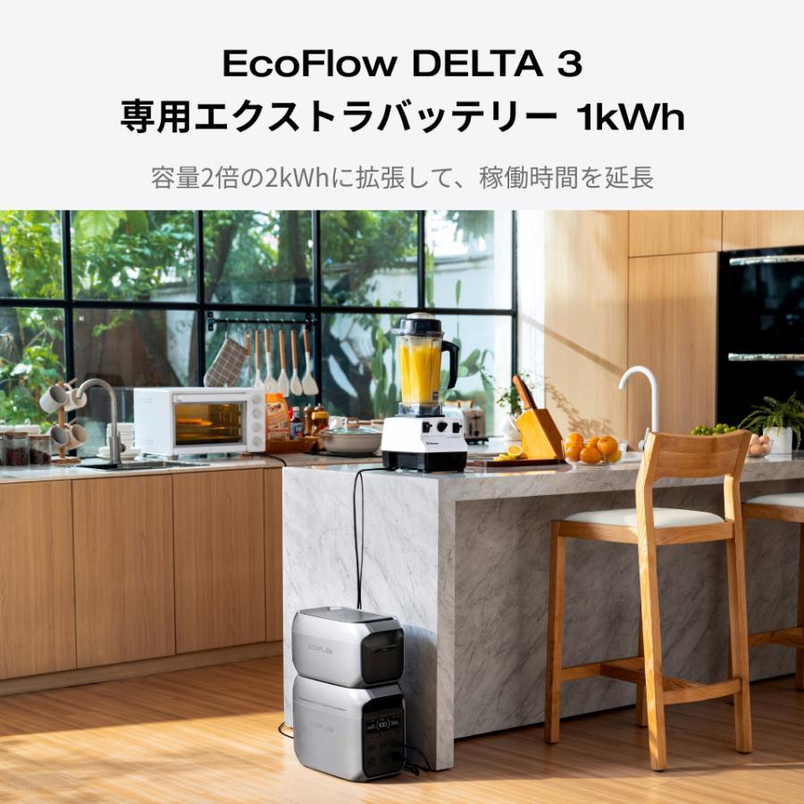 整備済品】EcoFlow DELTA 3 専用エクストラバッテリー 大容量 1024Wh