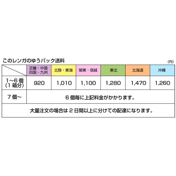 アンティークレンガ B品煉瓦 クラシカルレンガ （送料別途）　レンガ 庭 花壇 刻印 ガーデン おしゃれ アンティーク煉瓦 アンテブリック |  | 05