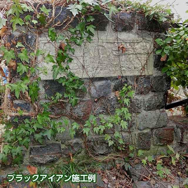 ただいまお取引中です。アンティーク レンガ れんが いぶし 黒 