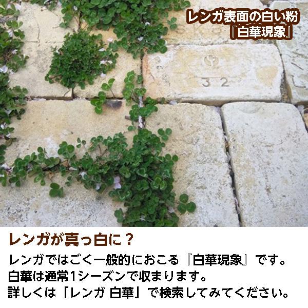 【アンティークレンガ】ブラックパープル 5個 送料込みセット(北海道は300円アップ) 花壇 ガーデニング おしゃれ 国産 ブラック系レンガ 耐火煉瓦|iiland|08
