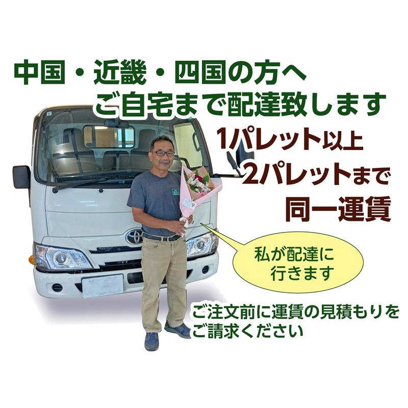 レンガ アンティークレンガ 大型L字変形レンガ割れアソート 5平米